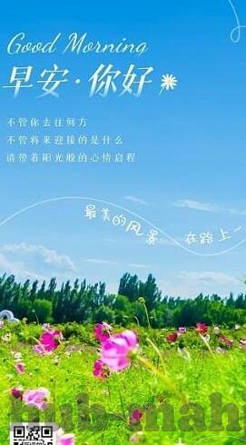 上回世界杯冰岛国几强-冰岛在世界杯上的惊人表现,挺进十六强